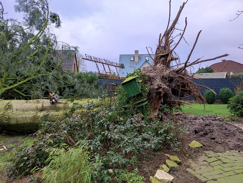 Ein Baum stürzte in einem Sandkruger Garten um, während das Sturmtief Ylenia über Norddeutschland hinwegfegte. Foto: Timo Nirwing Ortspressewart Feuerwehr Sandkrug