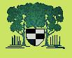 logo_bv_westerholt103