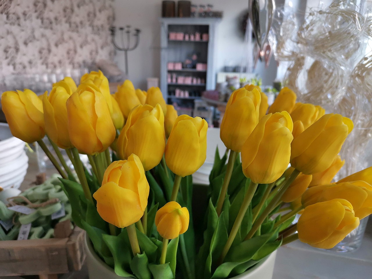 Tulpen Zaubergarten – magische Blumenwelten Wardenburg – Unternehmenspreasentation WH Meine Region Monatszeitung 