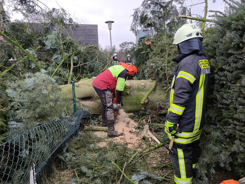 Sturmtief Ylenia sorgte auch in Sandkrug für Einsätze der freiwilligen Feuerwehr. Hier ein umgefallener Baum in einer Wohnsiedlung. Foto: Timo Nirwing Ortspressewart Feuerwehr Sandkrug