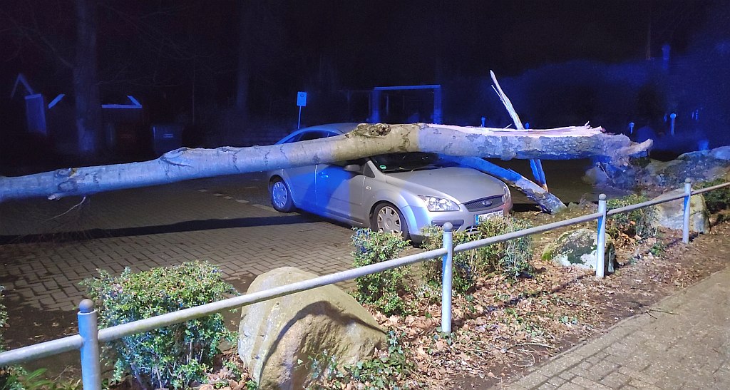 Ein Baum stürzte in Sandkrug auf einen PKW während das Sturmtief Ylenia über Deutschlang hinwegzog. Foto: Timo Nirwing Ortspressewart Feuerwehr Sandkrug