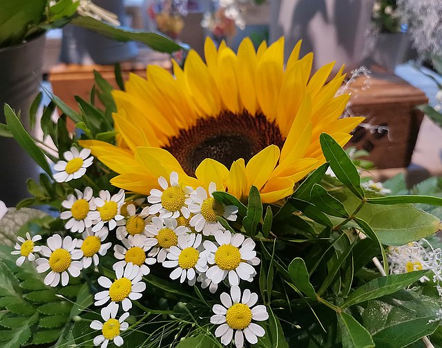 Sonnenblumenstrauss zaubergarten Kirchhatten | Foto: Uta Grundmann-Abonyi • Redaktion GrAbo WH Monatszeitung