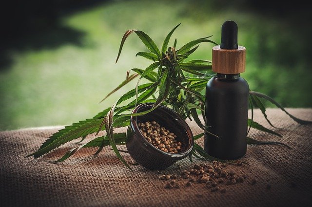 cbd-öl-hanf-kochen