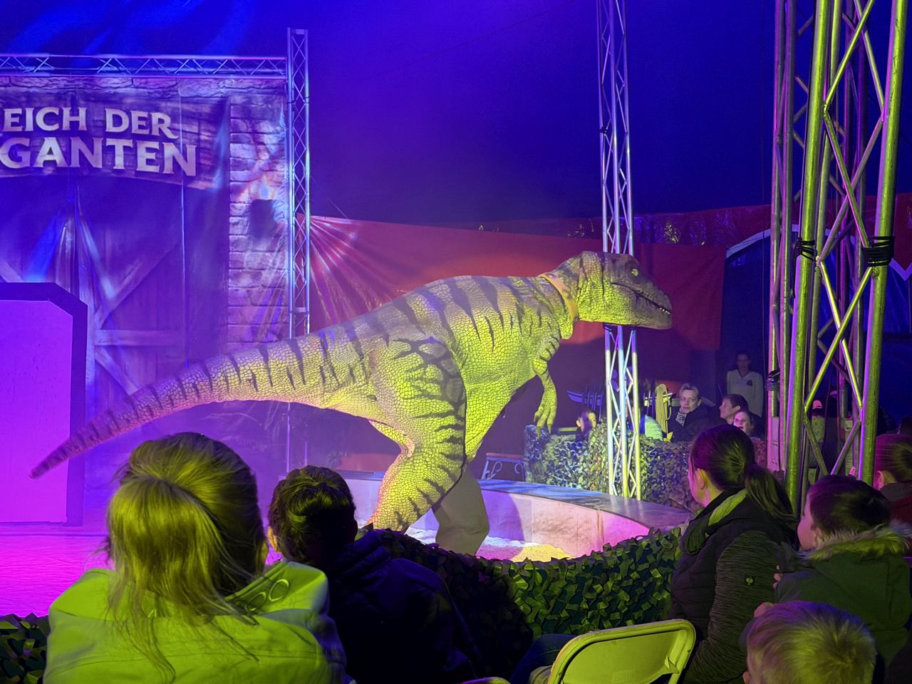 Dinosaurier live in der Dino Liveshow am Falkensteinsee Camping & Ferienpark Ganderkesee. Mehr unter https://www.facebook.com/francallidinoliveshow