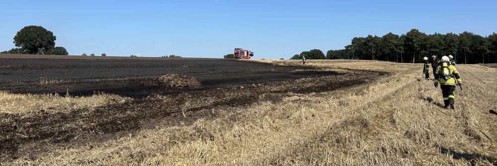 feuer_feld_sandhatten_flaechenbrand_tom_kramer_feuerwehr_presse