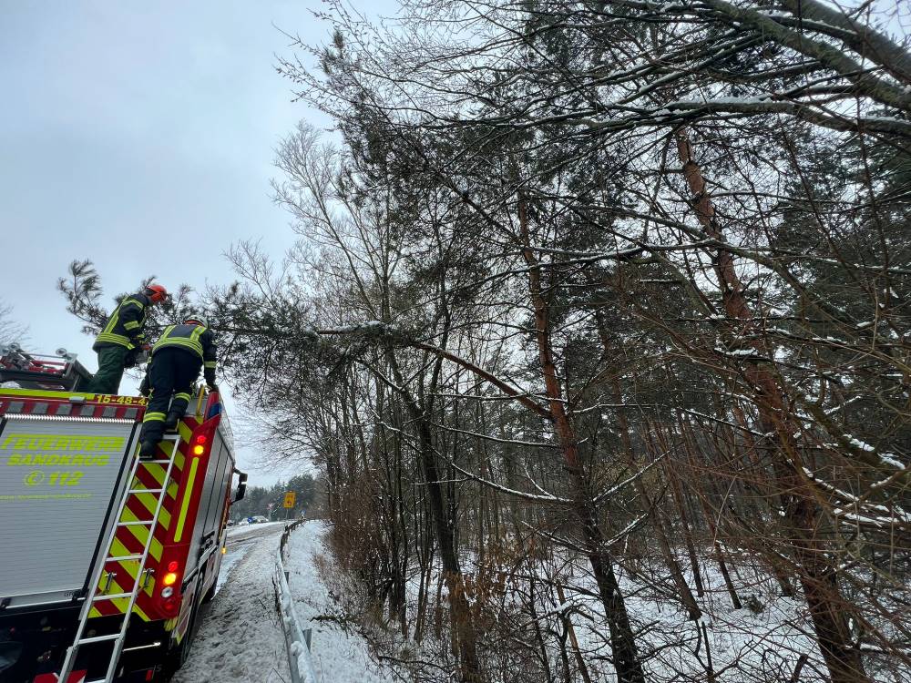 schneelast-baum-feuerwehreinsatz-Hatten-Sandkrug-tom-kramer