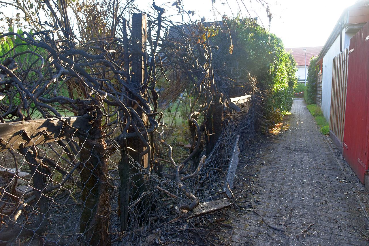 heckenbrand_wardenburg_foto_landkreis-kurier_zeitung_redaktion_grabo