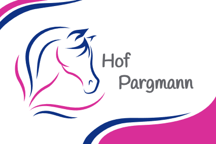 Hof_Pargmann_Coaching_Niedersachsen_Pferd_Pony