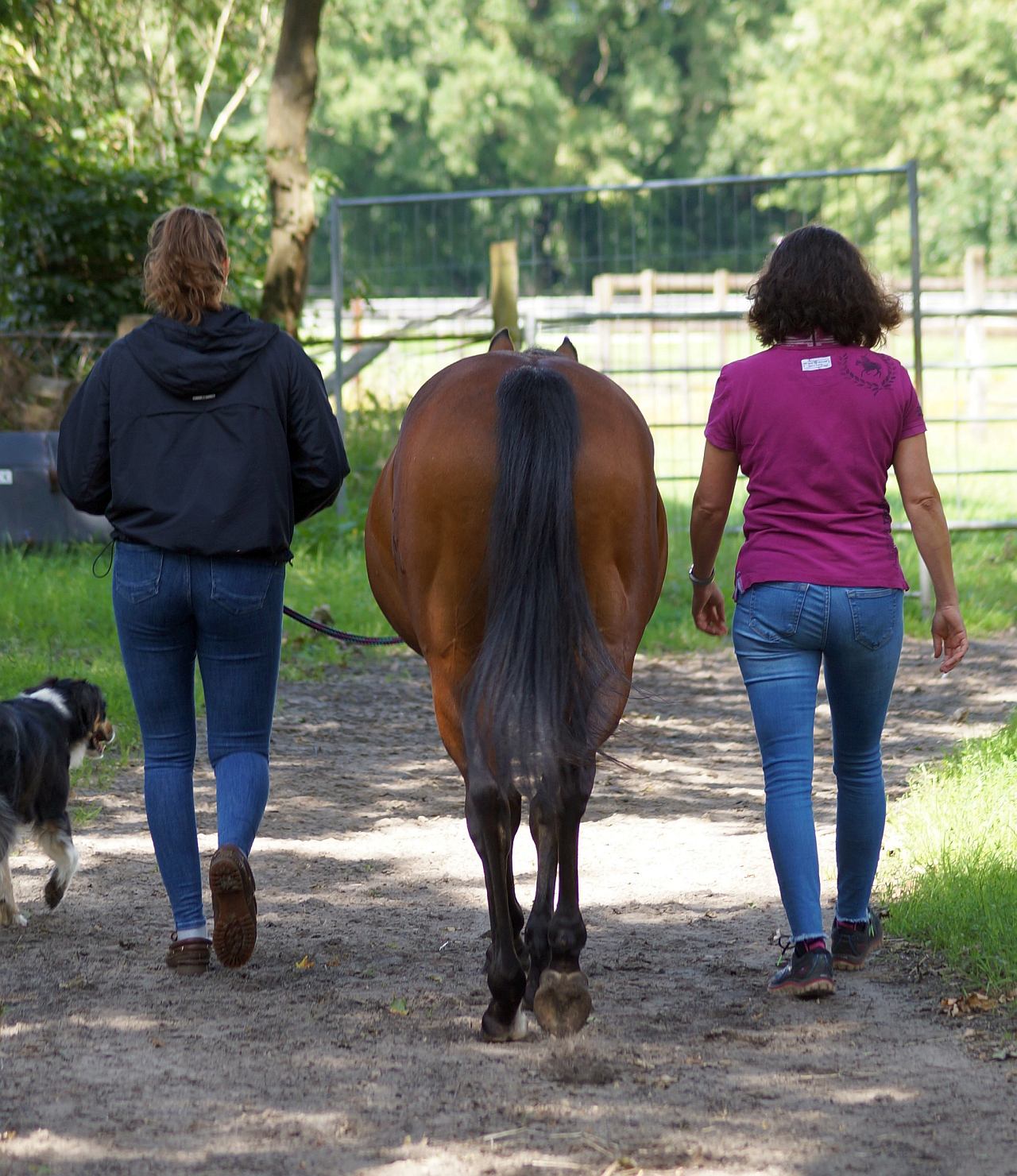 Gemeinsam machen sich der Coach-Klient und Coach Nicole Pargmann mit Pony Karlchen auf die Reise. Foto: www.hof-pargmann.de