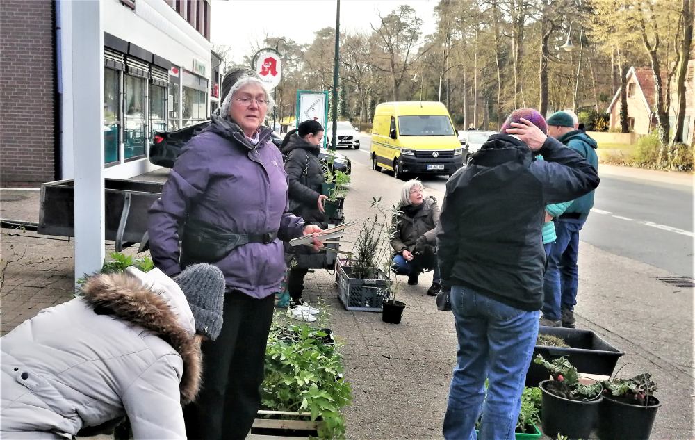 Pflanzenmarkt und Staudenmarkt in Sandkrug Foto NABU Hatten Uwe Pommerening