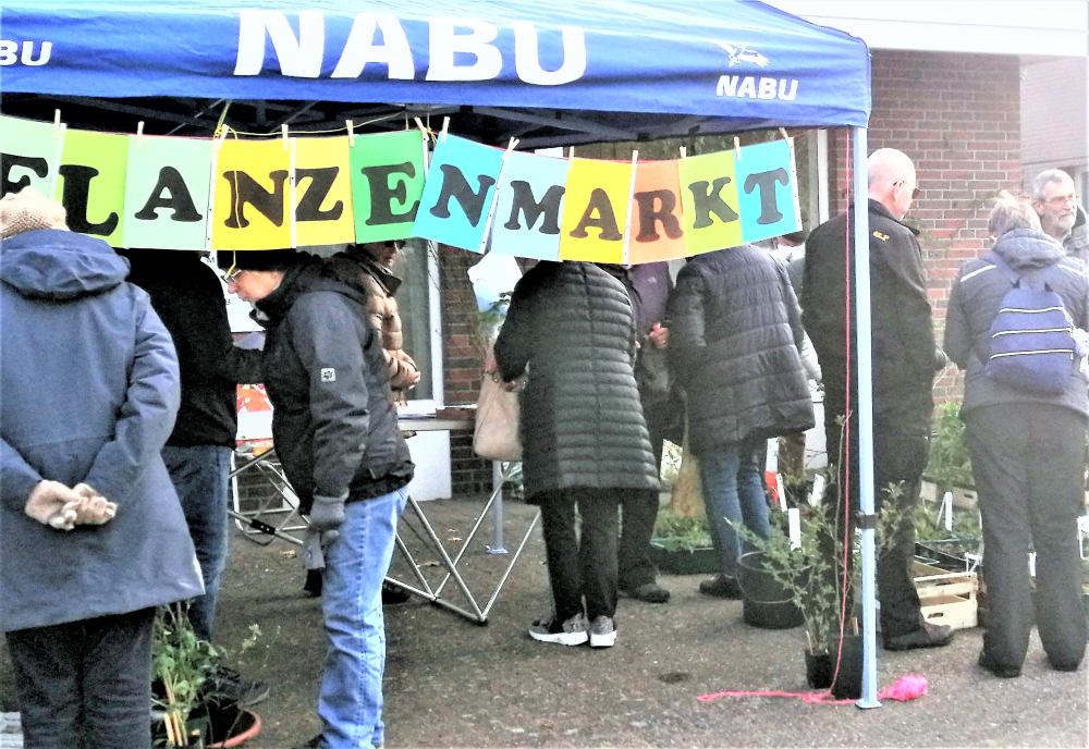 Pflanzenmarkt_Staudenmarkt_Hatten_Sandkrug_Uwe_Pommerening