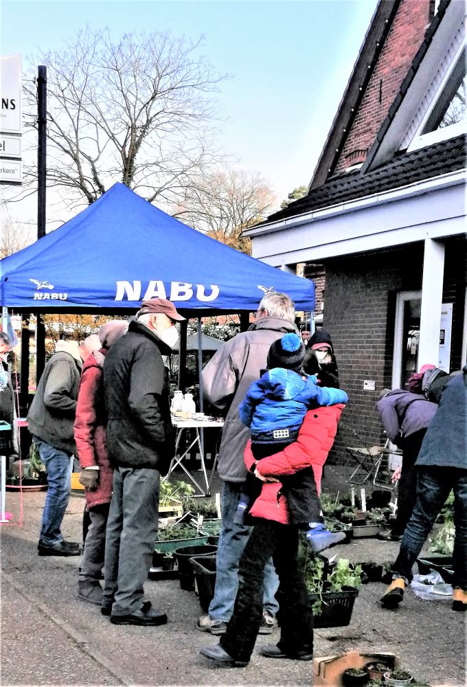 pflanzenmarkt-nabu-sandkrug-foto-pommerening-uwe