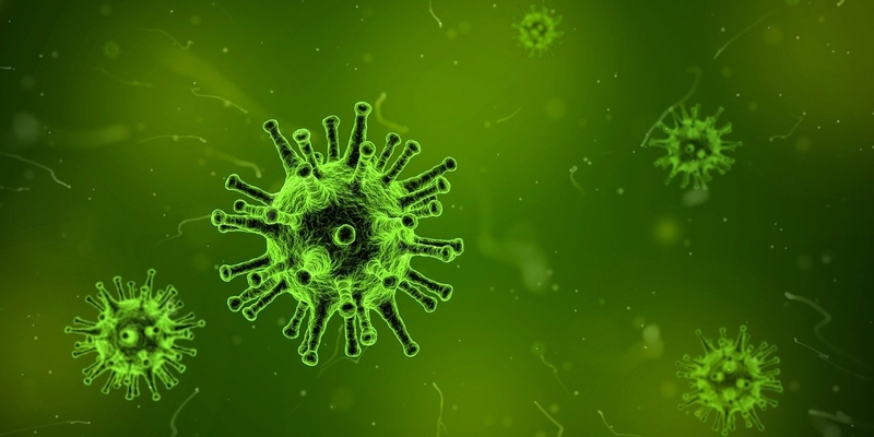 Corona Virus löst Absage von Veranstaltungen in Niedersachsen aus. Foto Pixabay Arek Socha
