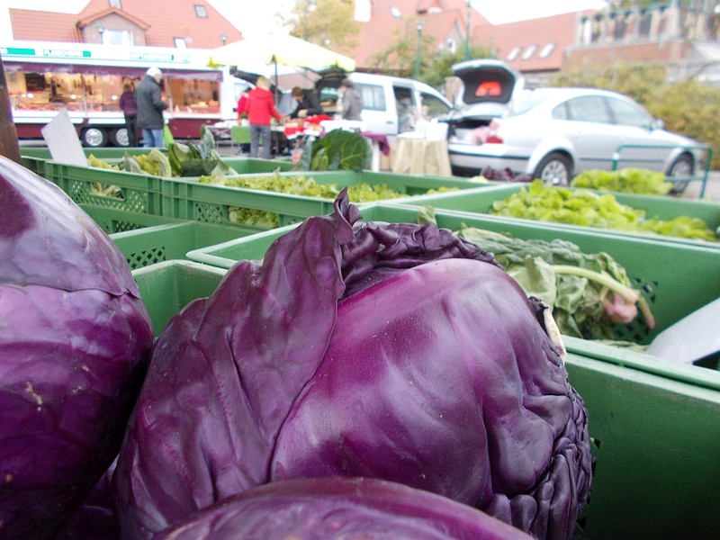 Wochenmarkt_Wardenburg_Foto_Uta_ Grundmann-Abonyi_Agentur_GrAbo