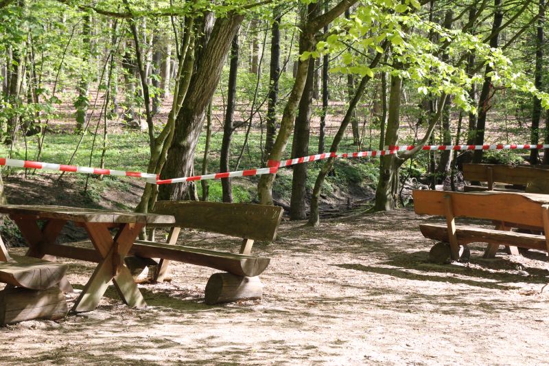 Landkreis-Kurier Artikel Waldspaziergang in Zeiten Coronakrise Foto: Landesforsten