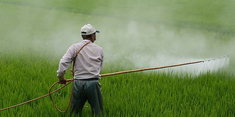 Pestizide Foto: Pixabay