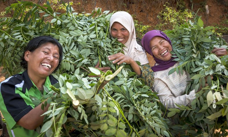 Hilfsprojekt in Indonesien. Foto Thomas LohnesBrot für die Welt Hilfsprojekt in Indonesien. Foto Thomas LohnesBrot für die Welt