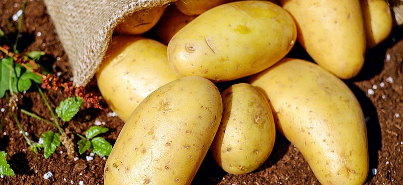 Kartoffeln Foto: Pixabay