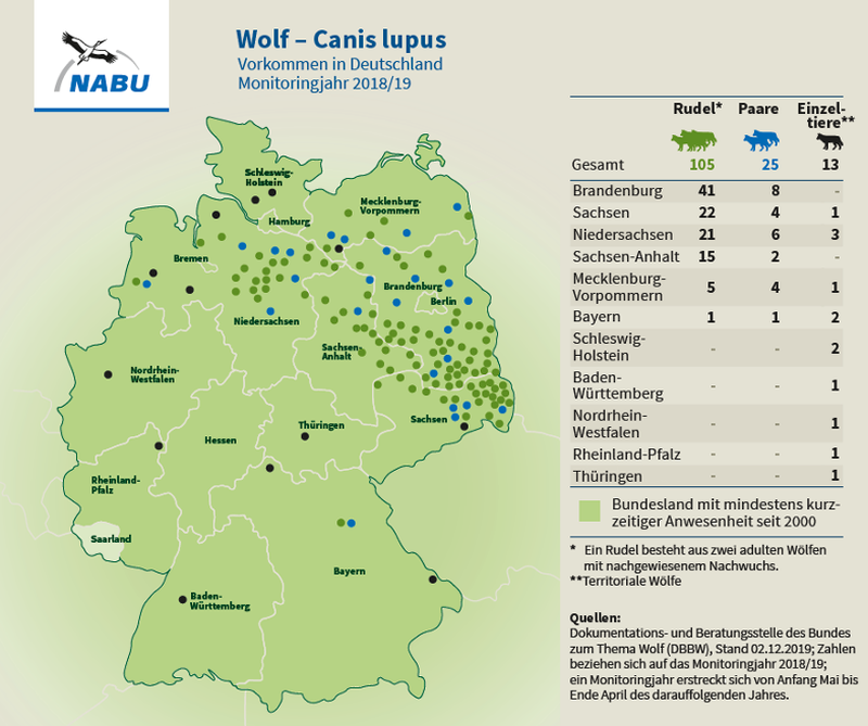 Wölfe in Deutschland