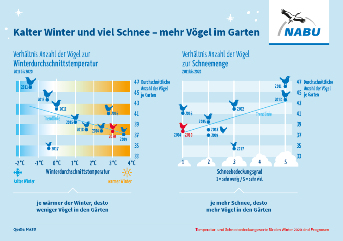 Zählung Wintervögel Grafik
