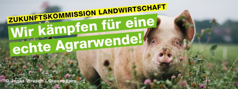 Zukunftskommission Landwirtschaft. Foto: Greenpeace Zukunftskommission Landwirtschaft. Foto: Greenpeace